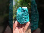 Natural Emerald Green Crystal Plate Dioptase Specimen x 1 From Tiantara, Congo
