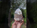 Natural Rare Smokey Quartz Crystal with Fluorite and Schorl x 1 From Erongo, Namibia