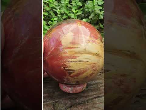 Polished XL Podocarpus Petrified Wood Sphere x 1 From Mahajanga, Madagascar