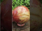 Polished XL Podocarpus Petrified Wood Sphere x 1 From Mahajanga, Madagascar