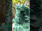 Natural XL Fibrous Silky Malachite Geode Specimen x 1 From Kasompe, Congo