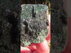 Rare Dark Green Libethenite in a Ferro-Copper Matrix x 1 From Congo