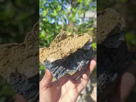 Natural Aggeneys Siderite Sphalerite Epimorph after Calcite Crystalline Specimen x 1 From Aggeneys South Africa
