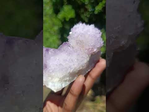 Natural Gorgeous Cactus Flower Sunburst Spirit Amethyst Crystal Cluster x 1 From Boekenhouthoek, South Africa