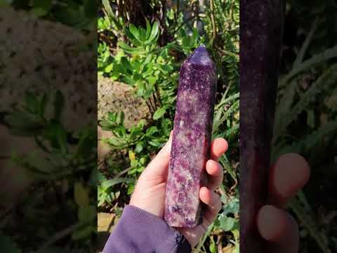Polished Gemmy Lepidolite Deep Purple Display Crystal x 1 From Madagascar