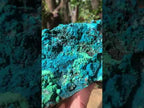Natural Deep Blue Botryoidal Chrysocolla with Malachite on Copper Dolomite Matrix x 1 From Kulukuluku, Congo