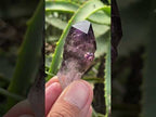 Natural Smokey Amethyst Window Sceptre x 1 From Brandberg, Namibia