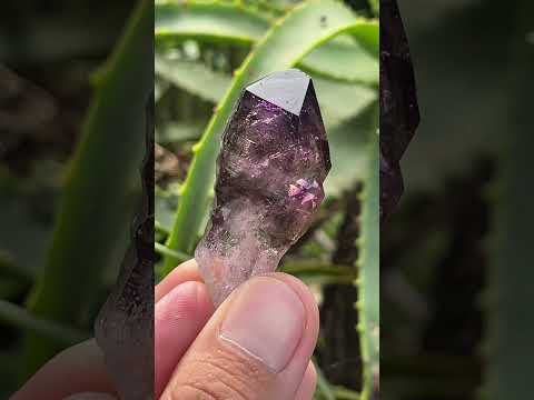 Natural Smokey Amethyst Window Sceptre x 1 From Brandberg, Namibia