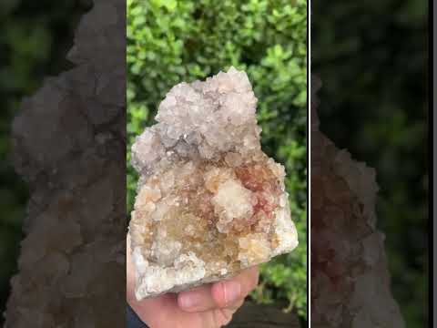 Natural Cactus Flower Smokey Spirit Quartz Cluster x 1 From South Africa