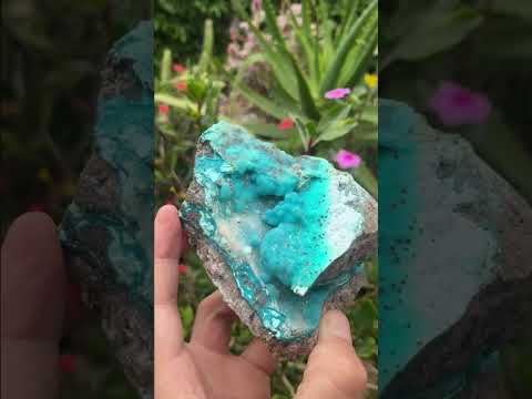 Natural Hemimorphite on Dolomite Specimen x 1 From Lupoto Mine, Congo