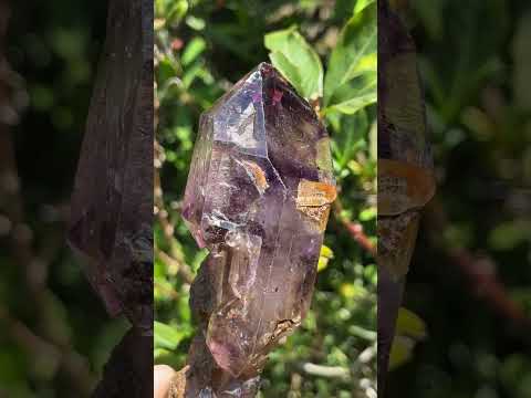 Natural Double Terminated Sceptre, Smokey Amethyst Window Crystal x 1 From Chiredzi, Zimbabwe