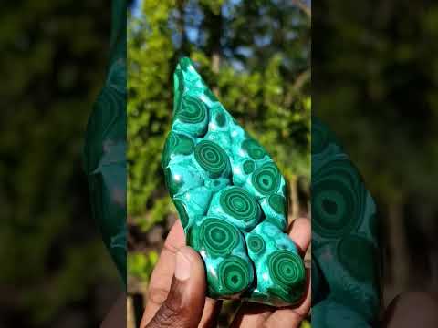 Polished "Eye" Ring Patterned Malacolla Free Form x 1 From Kulukuluku, Congo