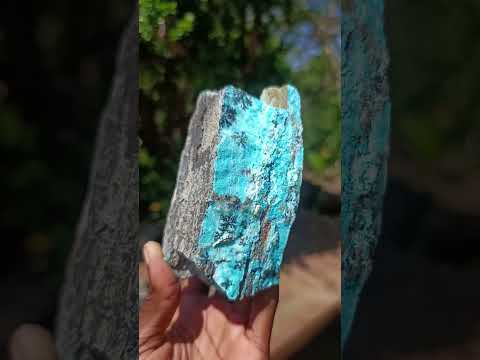 Natural Striking Black Heterogenite Dendrites on Drusy Coated Chrysocolla x 1 From Lupoto Mine, Congo
