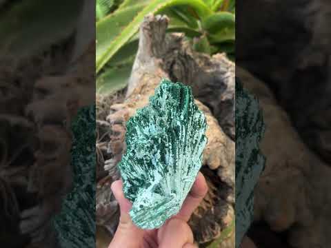 Natural Cabinet Lamellar Crystalline Malachite Pseudomorph Specimen x 1 From Lupoto Mine, Congo