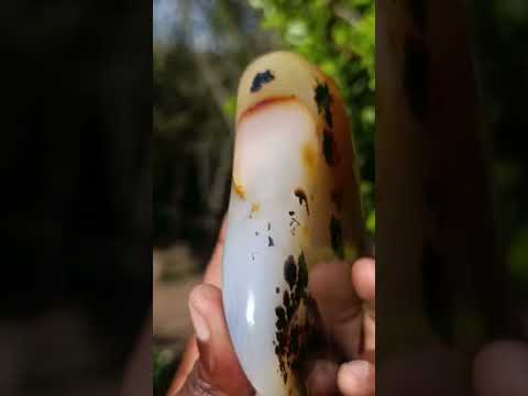 Polished Dendritic Carnelian Agate Free Form x 1 From Madagascar