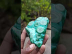 Polished "Eye" Ring Patterned Malacolla Free Form x 1 From Kulukuluku, Congo
