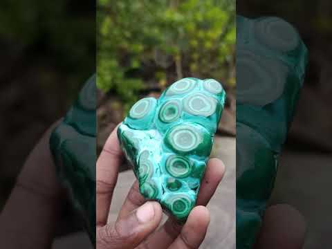 Polished "Eye" Ring Patterned Malacolla Free Form x 1 From Kulukuluku, Congo