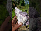 Natural Large Rubellite Pink Tourmaline in Quartz and Mica Schist x 1 From Karibib, Namibia