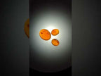 Polished Set of 3 Mandarin Spessartite Garnet Cabochons x 1 From Sperrgebiet, Namibia