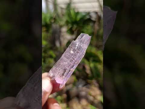 Natural Beautiful Pink Gemmy Kunzite Crystal x 1 From Afghanistan