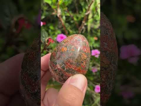 Polished Large Snakeskin Rhyolite Jasper Gemstone Egg x 1 From Australia