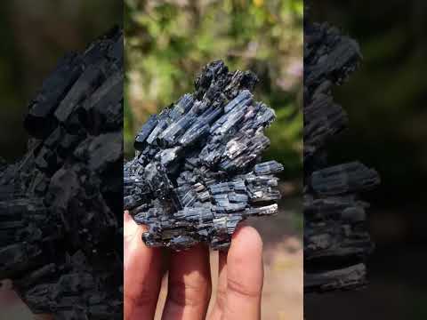 Natural Multi Terminated Splayed Black Schorl Tourmaline Floater Specimen x 1 From Erongo, Namibia