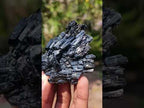 Natural Multi Terminated Splayed Black Schorl Tourmaline Floater Specimen x 1 From Erongo, Namibia