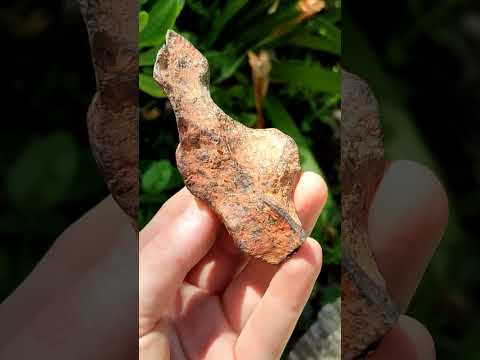 Natural Rare Gibeon Meteorite Specimen x 1 From Gibeon Namibia