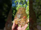 Natural Superb XL Copal Amber with Inclusions x 1 From Nosy Varika Madagascar