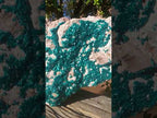 Natural XXL Dioptase Specimen on a Dolomite Matrix x 1 From Likasi, Congo