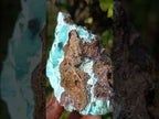 Natural Cabinet Size Drusy Coated Botryoidal Chrysocolla Specimen on Dolomite x 1 From Likasi, Congo
