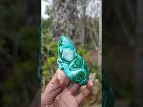 Polished "Eye" Ring Patterned Malacolla Free Form x 1 From Kulukuluku, Congo