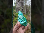 Polished "Eye" Ring Patterned Malacolla Free Form x 1 From Kulukuluku, Congo