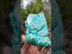 Polished "Eye" Ring Patterned Malacolla Free Form x 1 From Kulukuluku, Congo