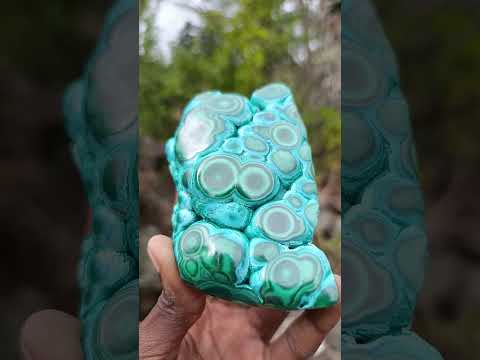 Polished "Eye" Ring Patterned Malacolla Free Form x 1 From Kulukuluku, Congo