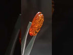 Hand Made Beautiful Fossil Amber Carved Princess Intaglio Cabochon x 1 From Poland
