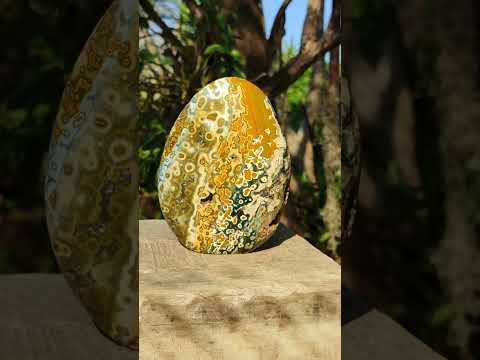 Polished Old School Orbicular Ocean Jasper Standing Display Piece x 1 From Madagascar