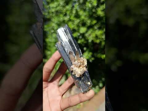 Natural Large Multi Terminated Aegirine with Smokey Quartz x 1 From Zomba, Malawi