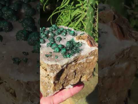 Natural Large Superb Ball Malachite Cabinet Specimen x 1 From Mindingi Mine, Congo