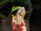 Polished Icy Frosted Veiled Clear Quartz Crystal with Biotite Inclusion x 1 From Madagascar