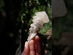 Natural Mixed Collectors Set of 6 African Minerals in a Wooden Display Box x 1 From Southern Africa