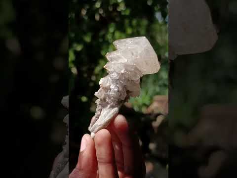 Natural Mixed Collectors Set of 6 African Minerals in a Wooden Display Box x 1 From Southern Africa