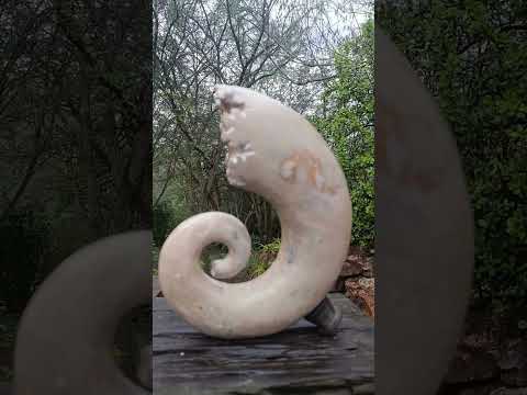 Polished XL Ultra Rare Ancyloceratina Uncoiled Ammonite Fossil x 1 From Tulear, Madagascar