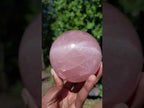 Polished Large Star Rose Quartz Sphere with Wooden Stand x 1 From Ambatondrazaka Madagascar