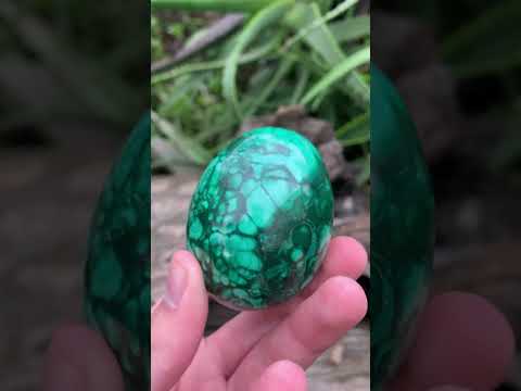 Polished Rare Large Flower Banded Malachite Egg x 1 From Congo