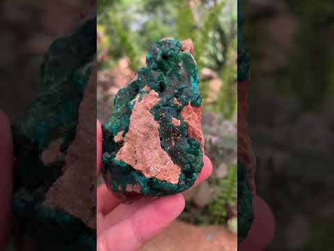 Natural Small Classic Dioptase Specimen on Dolomite Matrix x 1 From Likasi, Congo
