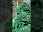 Natural XL Velvet Silky Malachite Specimen x 1 From Kasompe, Congo