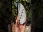 Polished One Side Set of 4 Matching Sardonyx Agate Slices x 1 From Zimbabwe