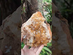 Natural Large Golden Orange Limonite Quartz Specimen x 1 From Mwinilunga, Zambia