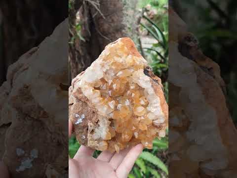 Natural Large Golden Orange Limonite Quartz Specimen x 1 From Mwinilunga, Zambia